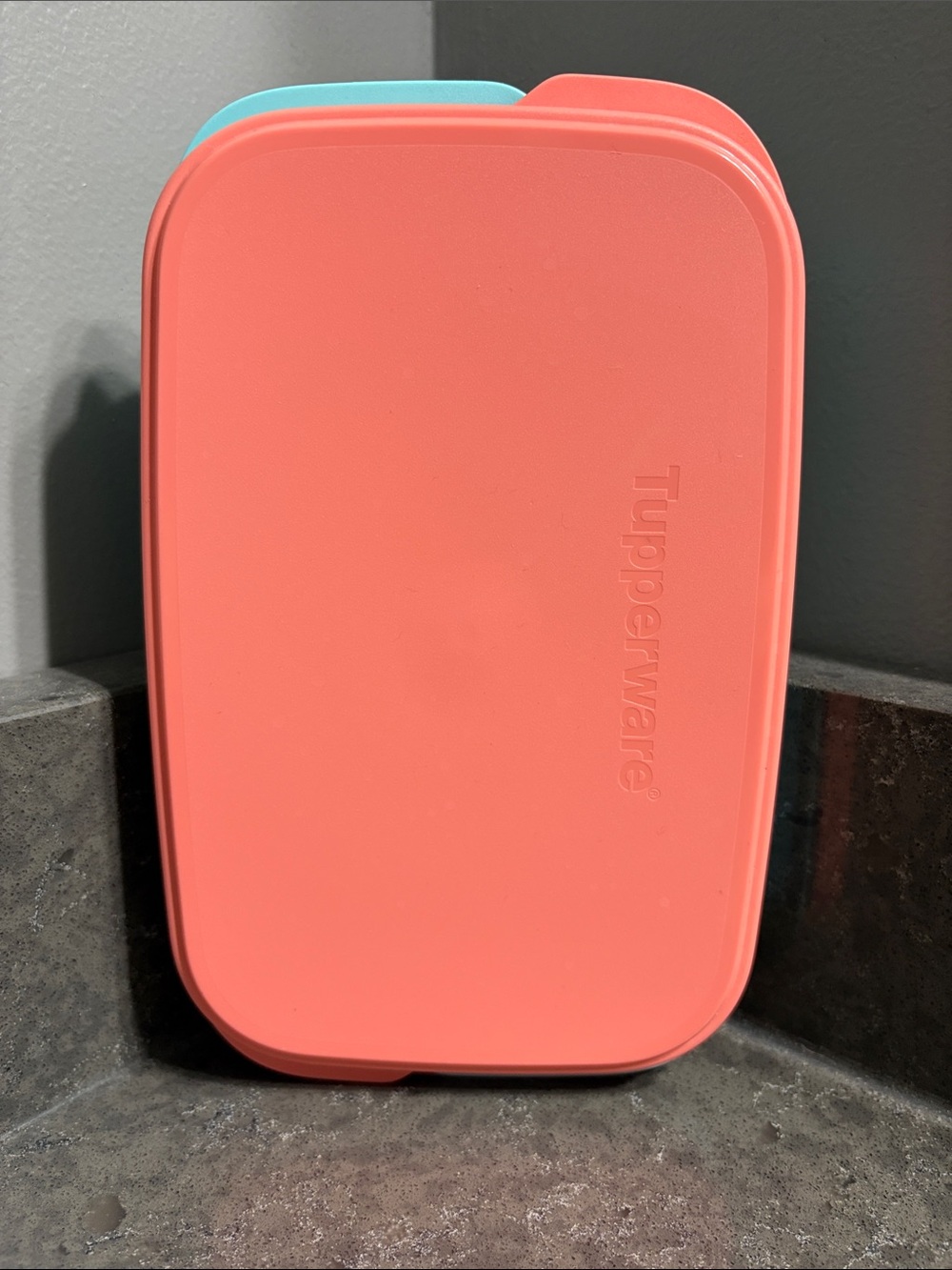 Tupperware Coral and Teal Meal Container